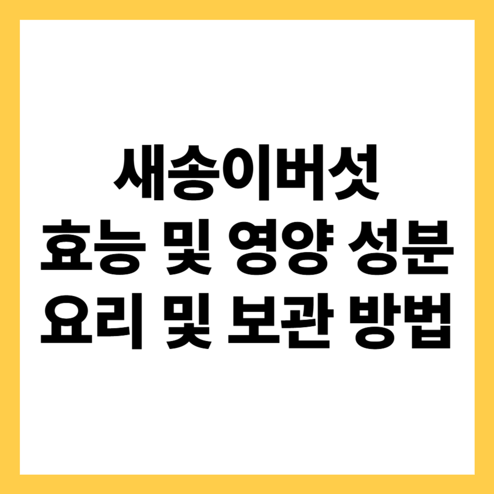 새송이버섯 효능 및 영양 성분 ( 요리 및 보관 방법)