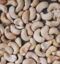 허리 디스크에 좋은 음식 영양제 식단