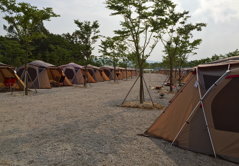 강원-철원-철원학마을-캠핑장-사진-입니다.