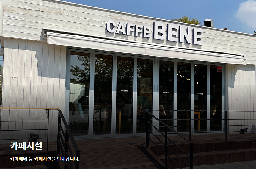 서울대공원 장미원축제 기간, 입장료, 주차 총정리