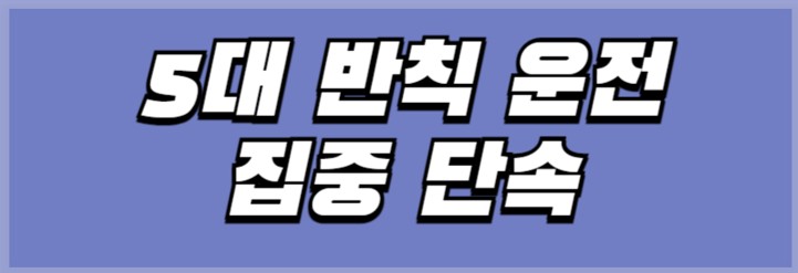 5대 반칙 운전 집중 단속