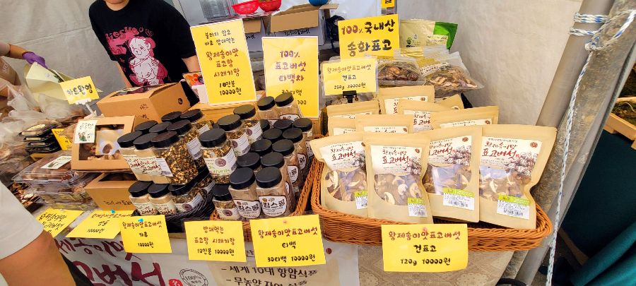 버섯효소