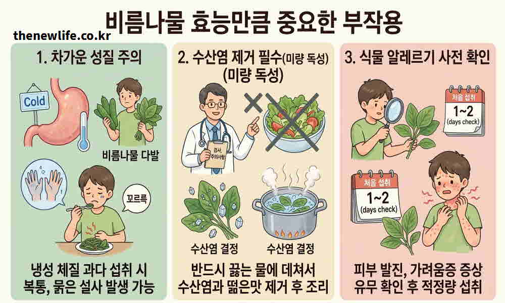 비름나물 효능 부작용