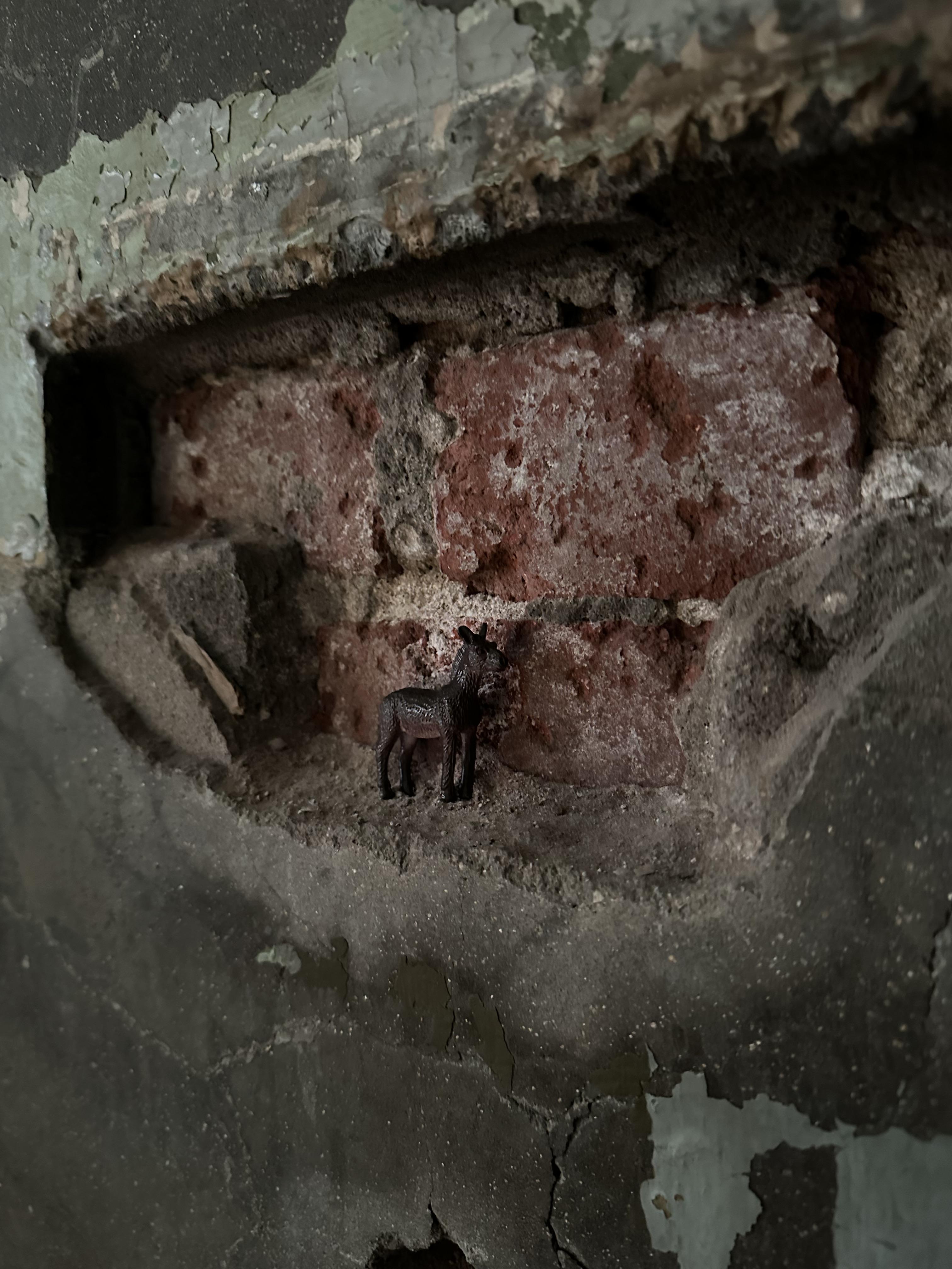 1제곱밑터프로젝트