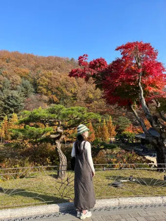 화담숲 단풍 절정시기 예약 방법까지 정리_24
