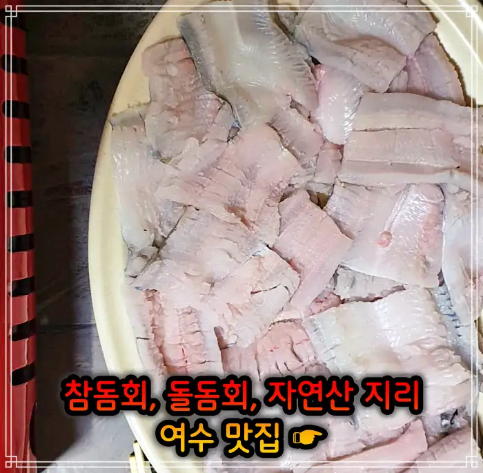 생방송 투데이 전남 여수 참돔회, 돌돔회 맛집