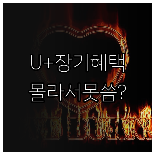 LG유플러스 장기 고객 혜택 상세 안..