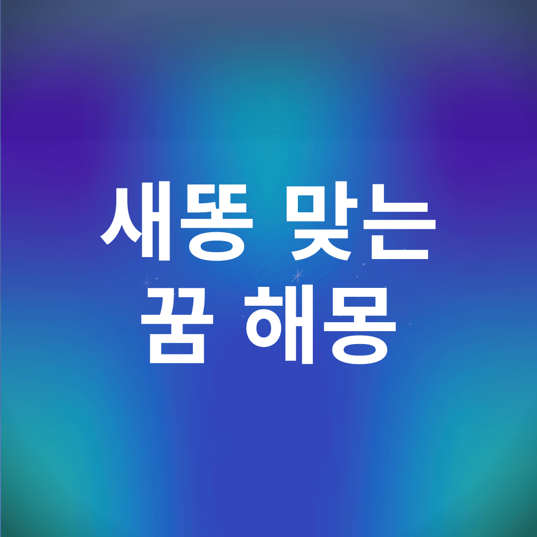 새똥 맞는 꿈 해몽