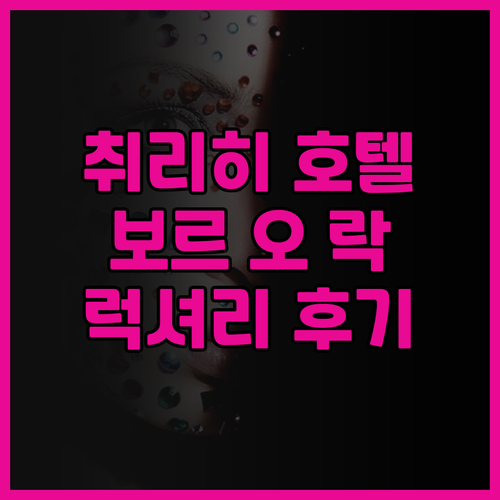 취리히 호텔 추천 보르 오 락 후기 ..