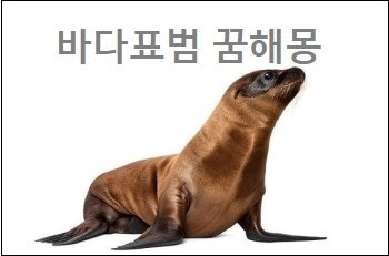 바다표범을보는꿈