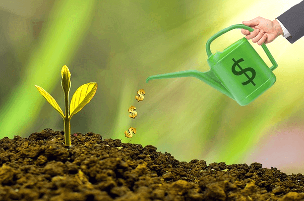 딸에 작은 녹색식물이 자란다. 남자 손이 분무기를 들었는데, 분무기에서 $들이 쏟아진다.