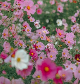 노인교통카드 신청방법