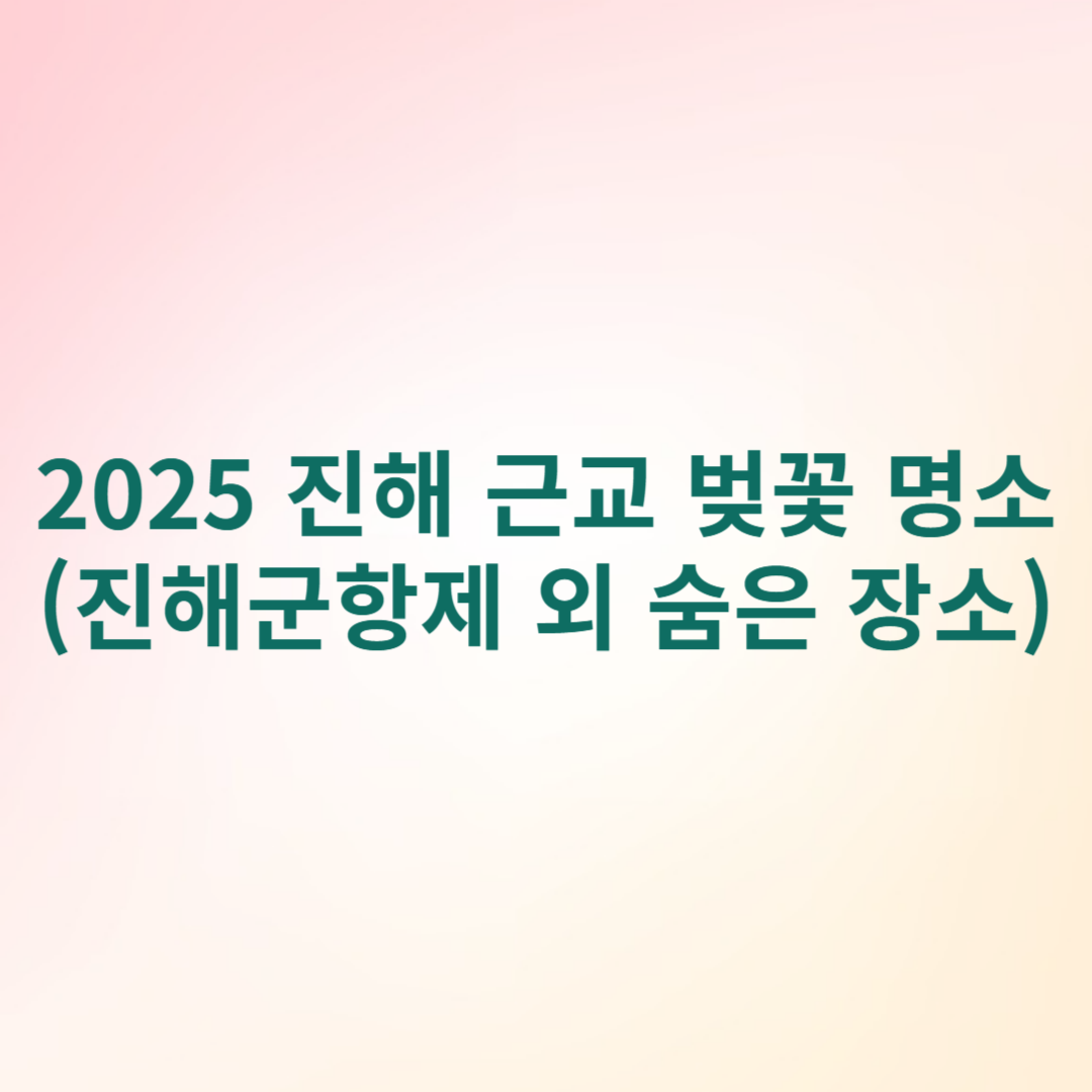 2025 진해 근교 벚꽃 명소 썸네일