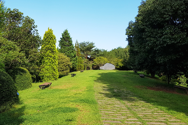 태안 안면도 수목원