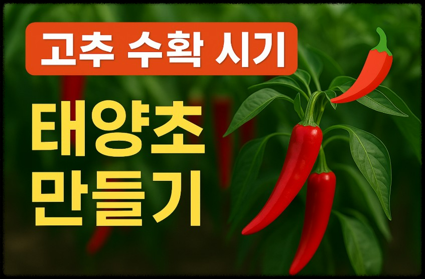 태양초