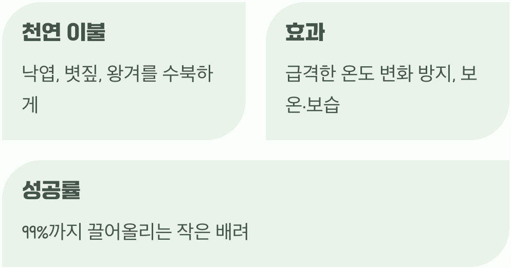 따뜻한 솜이불 덮어주기