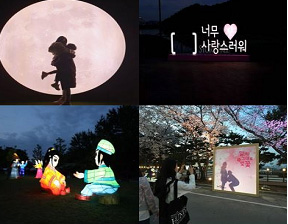 부여 연꽃축제 야경