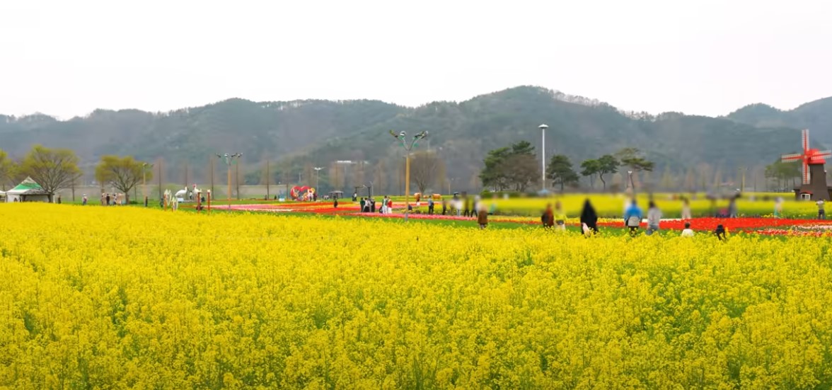 남도 여행지