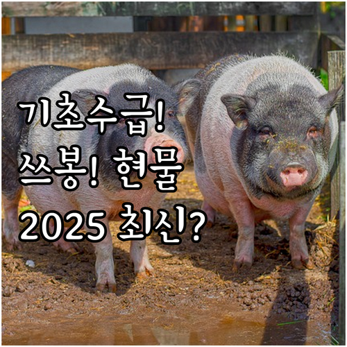 2025 기초수급자 장애인 쓰레기봉투..