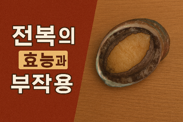 전복의 효능과 부작용