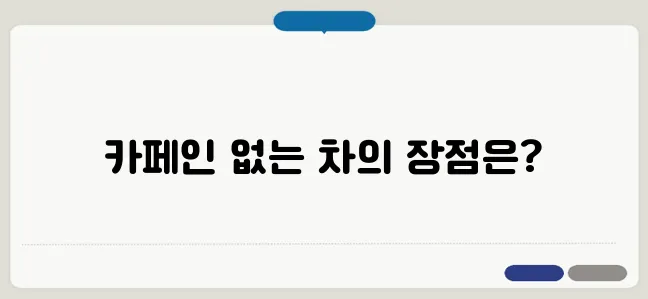 카페인 없는 차 종류와 효능 비교