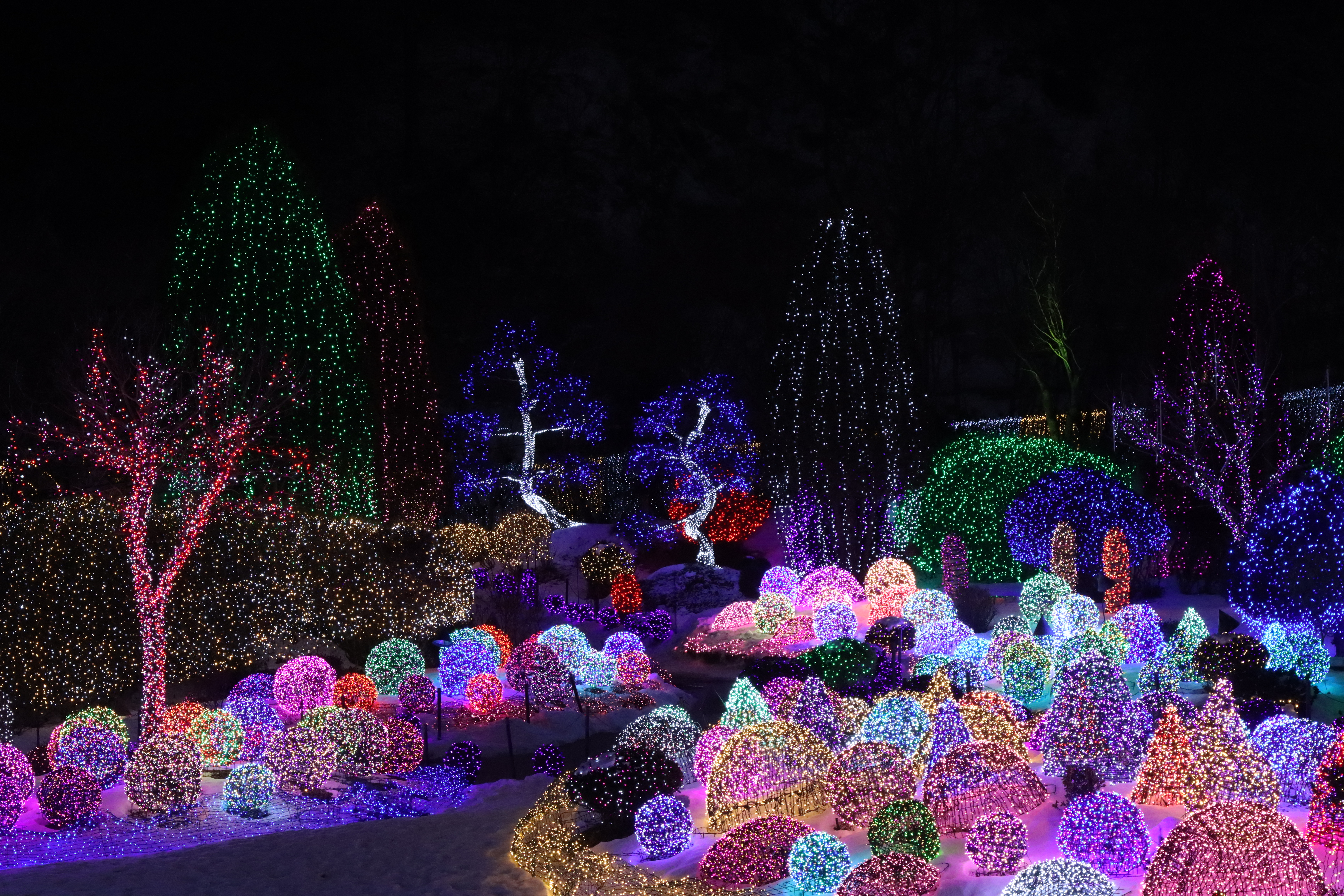 아침고요수목원