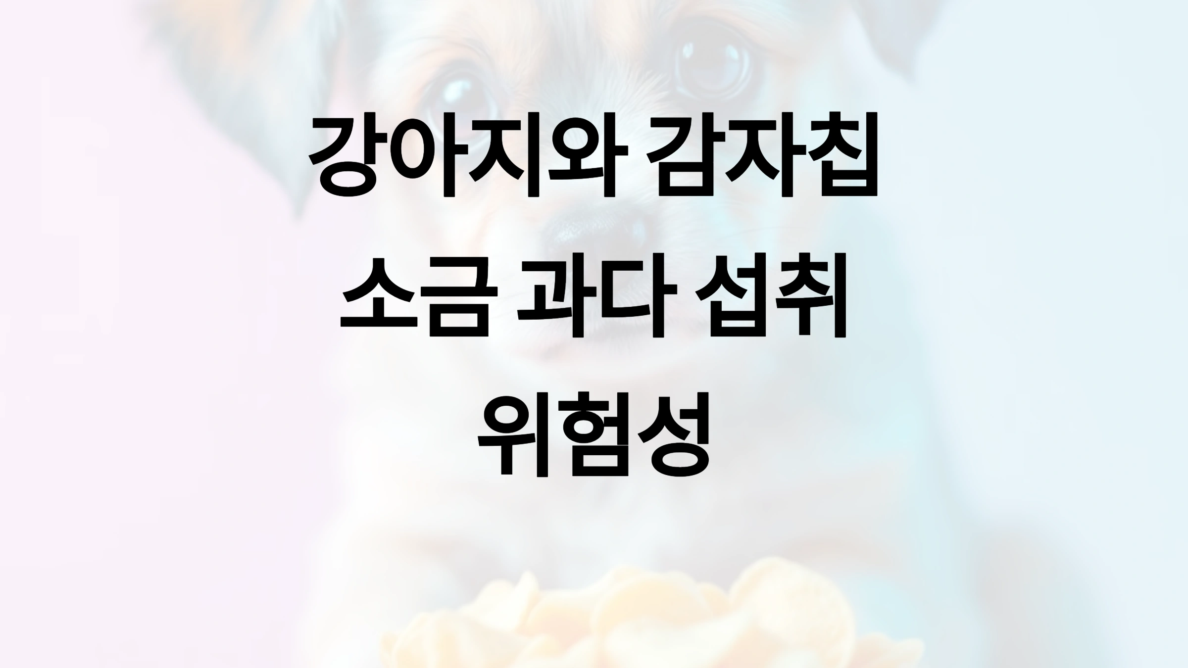 강아지가 감자칩을 먹었을 때 소금 과다 섭취 문제