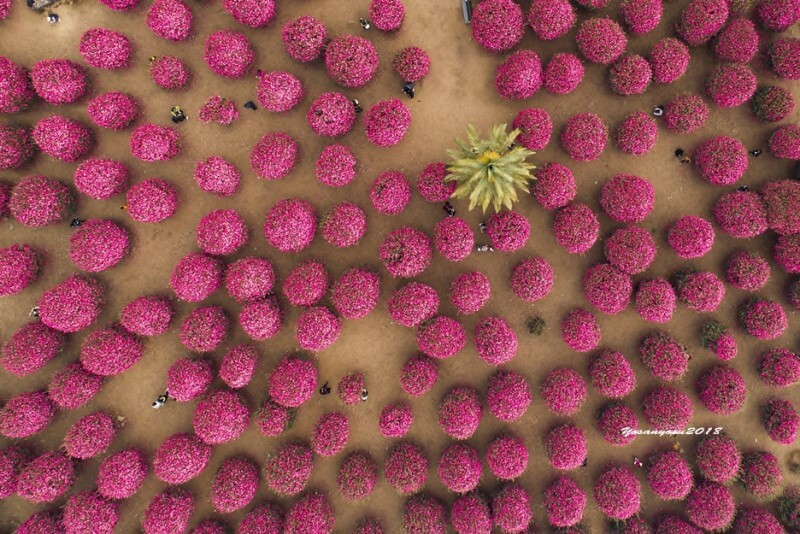 제주도 가볼만한 곳 10곳