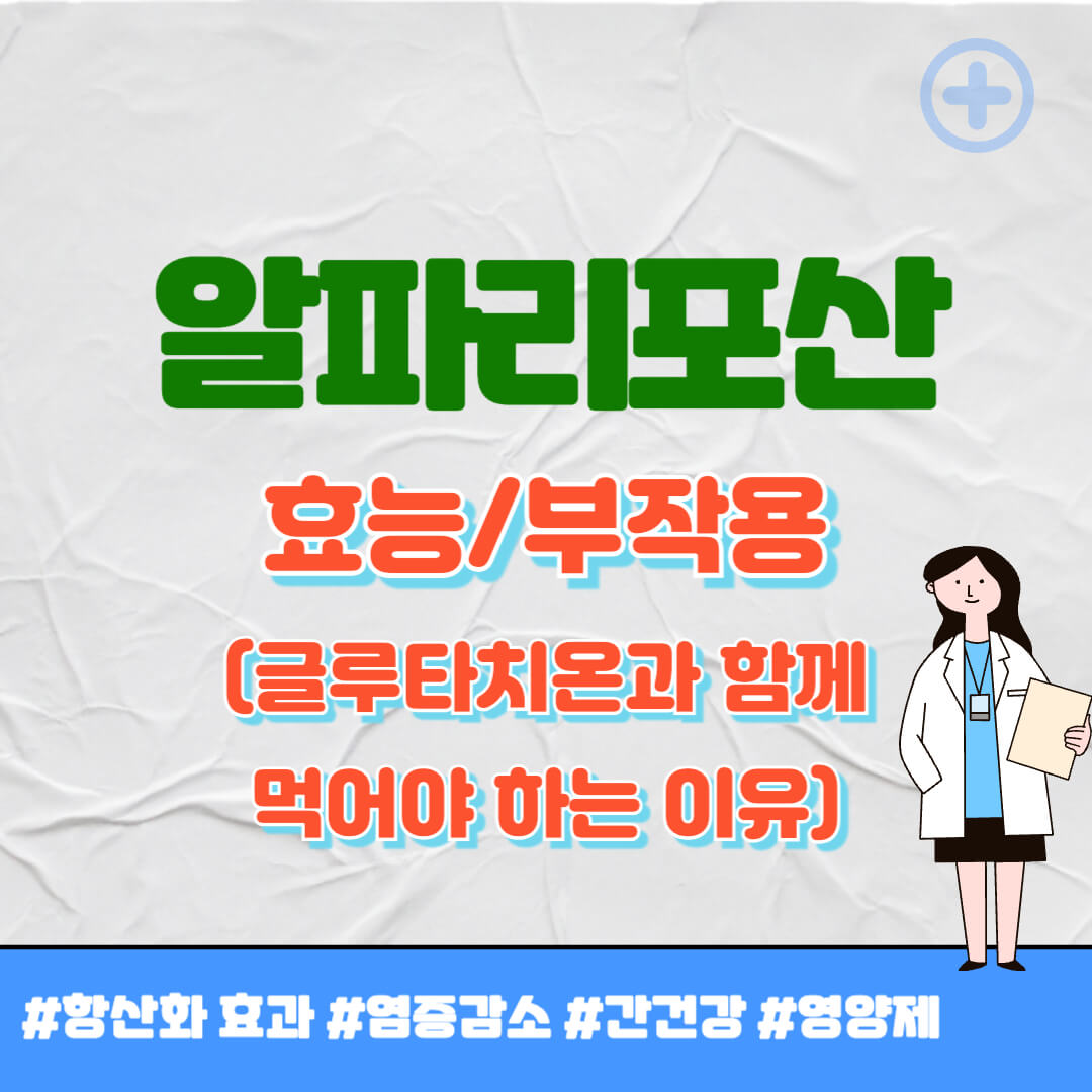 알파리포산 효능 썸네일