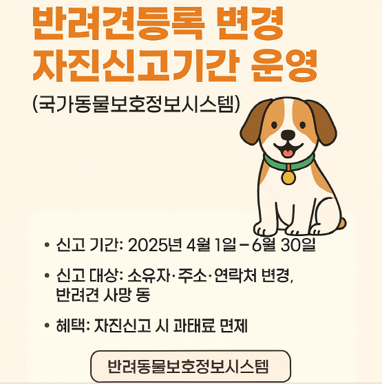 려견 등록, 제대로 되어 있나요? – 자진신고기간을 활용하세요