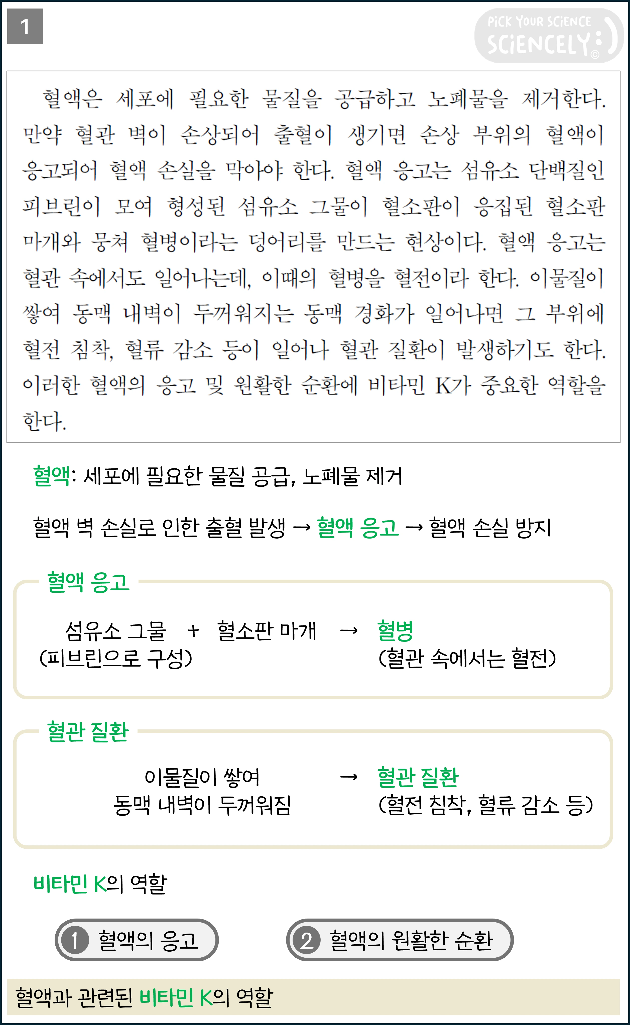국어 독서 과학기술, 국어 비문학 과학기술, 23학년도 고3 6평 Q10-13, 혈병과 비타민K, 1문단