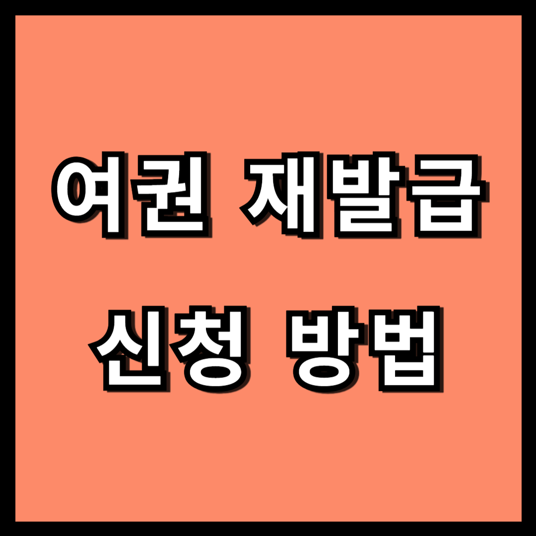 여권 재발급 신청 방법