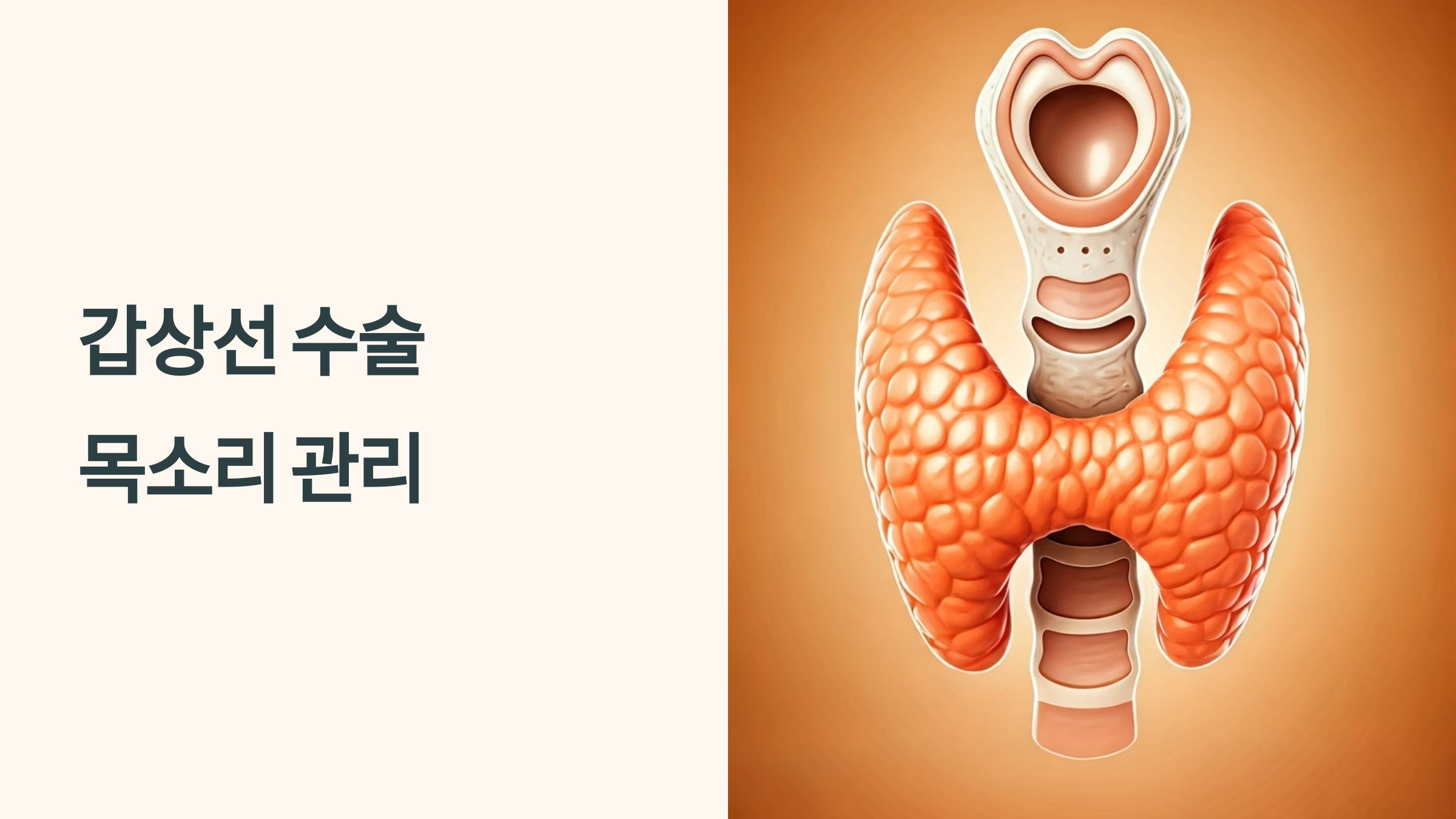 갑상선수술 후 목소리 관리 발성