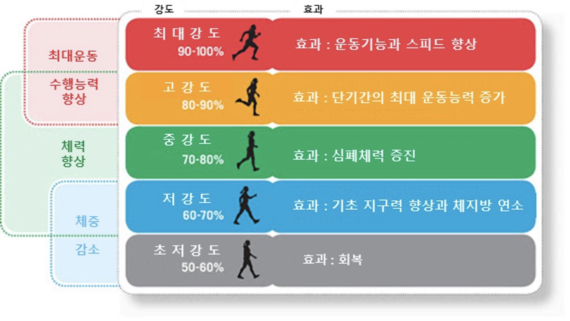 운동 강도 별 운동 효과
