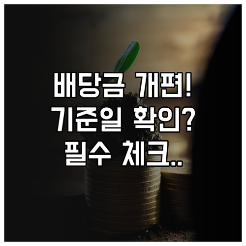 개편된 배당 제도 안내와 정확한 배당..