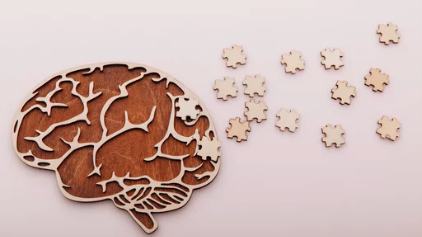 기억력 증진효과 및 치매예방/출처:어도비스톡