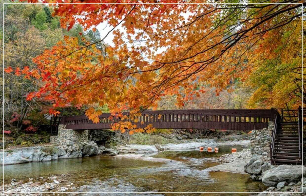 평창 가볼만한곳 베스트10 오대산 선재길