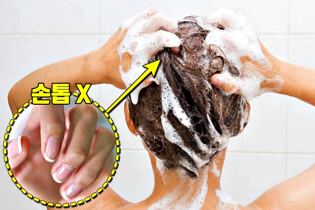 머리숱 많아지는법,손톱,샴푸,두피관리,헤어