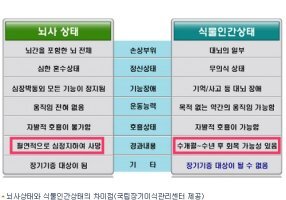 뇌사