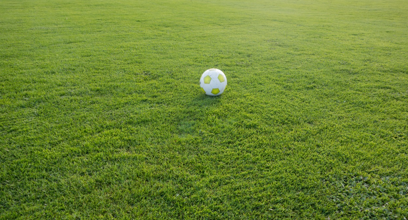 축구 관련 사진