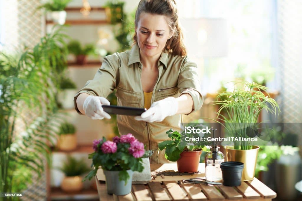 집 안 공간을 활용하는 스마트 가드닝 방법과 팁