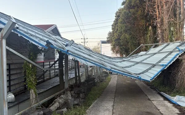 제주 강풍 경보 올레길 구간 선택 산책 속도 조절_1