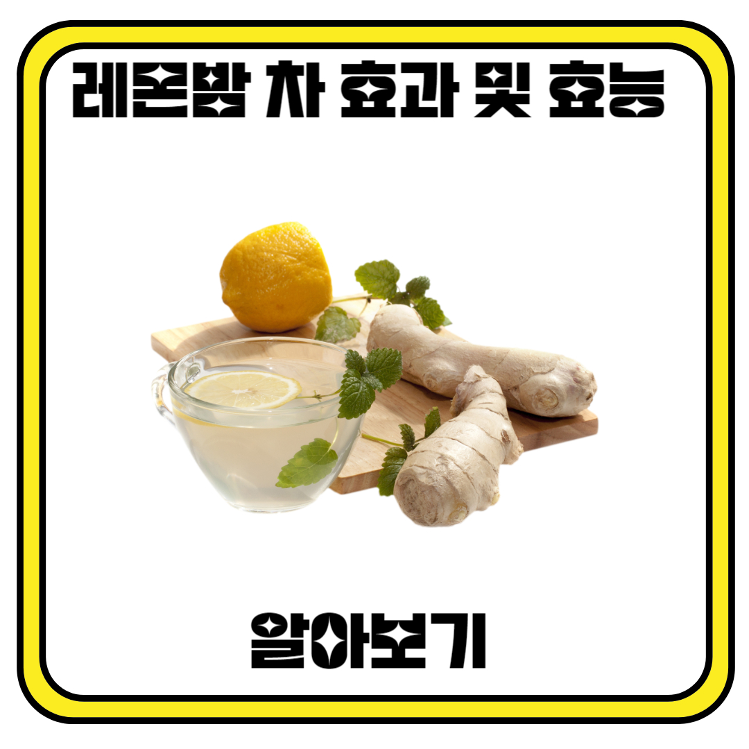 레몬밤 차의 효과와 효능