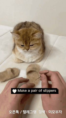 경제뉴스 부동산뉴스 신문스크랩 9월 6일 수