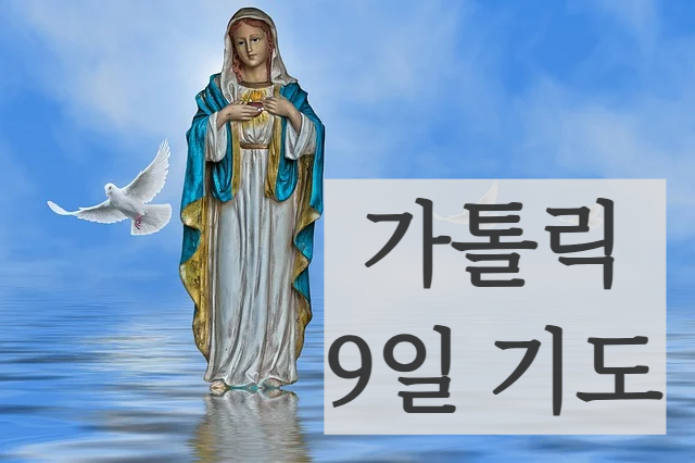 9일기도