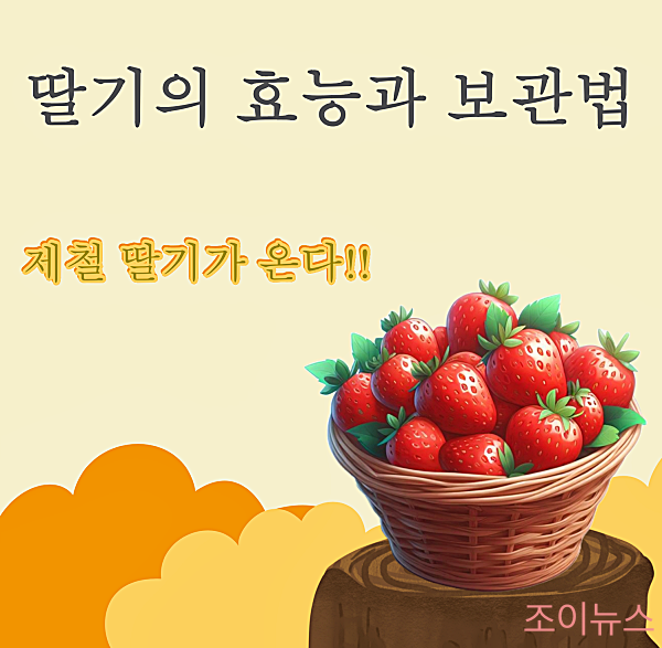 딸기의 효능과 보관방법, 제철 딸기는 겨울철 면역력 지킴이
