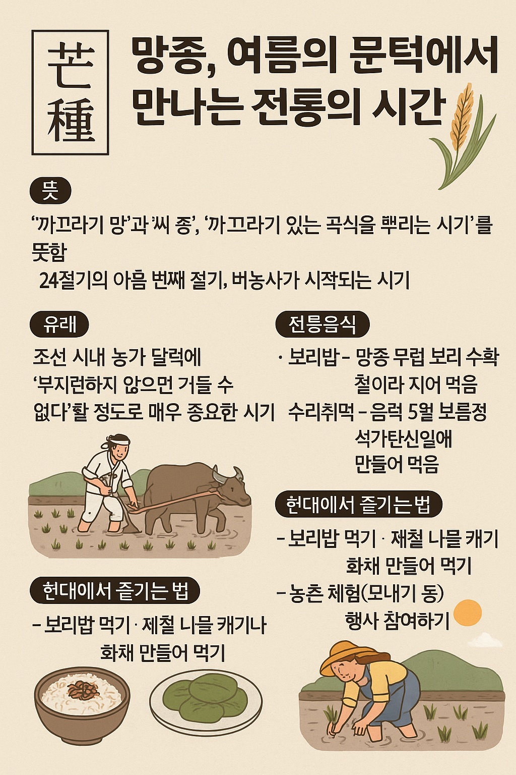 망종(芒種), 여름의 문턱에서 만나는 전통의 시간