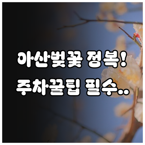 아산 벚꽃 축제 일정 및 장소별 주차..
