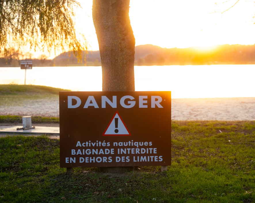 아메카지 중독 위험 사진