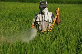 농업직불금 온라인 교육 신청